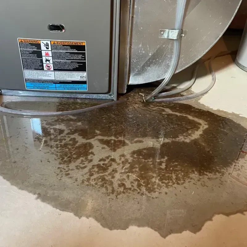 Appliance Leak Cleanup in Martin, SD